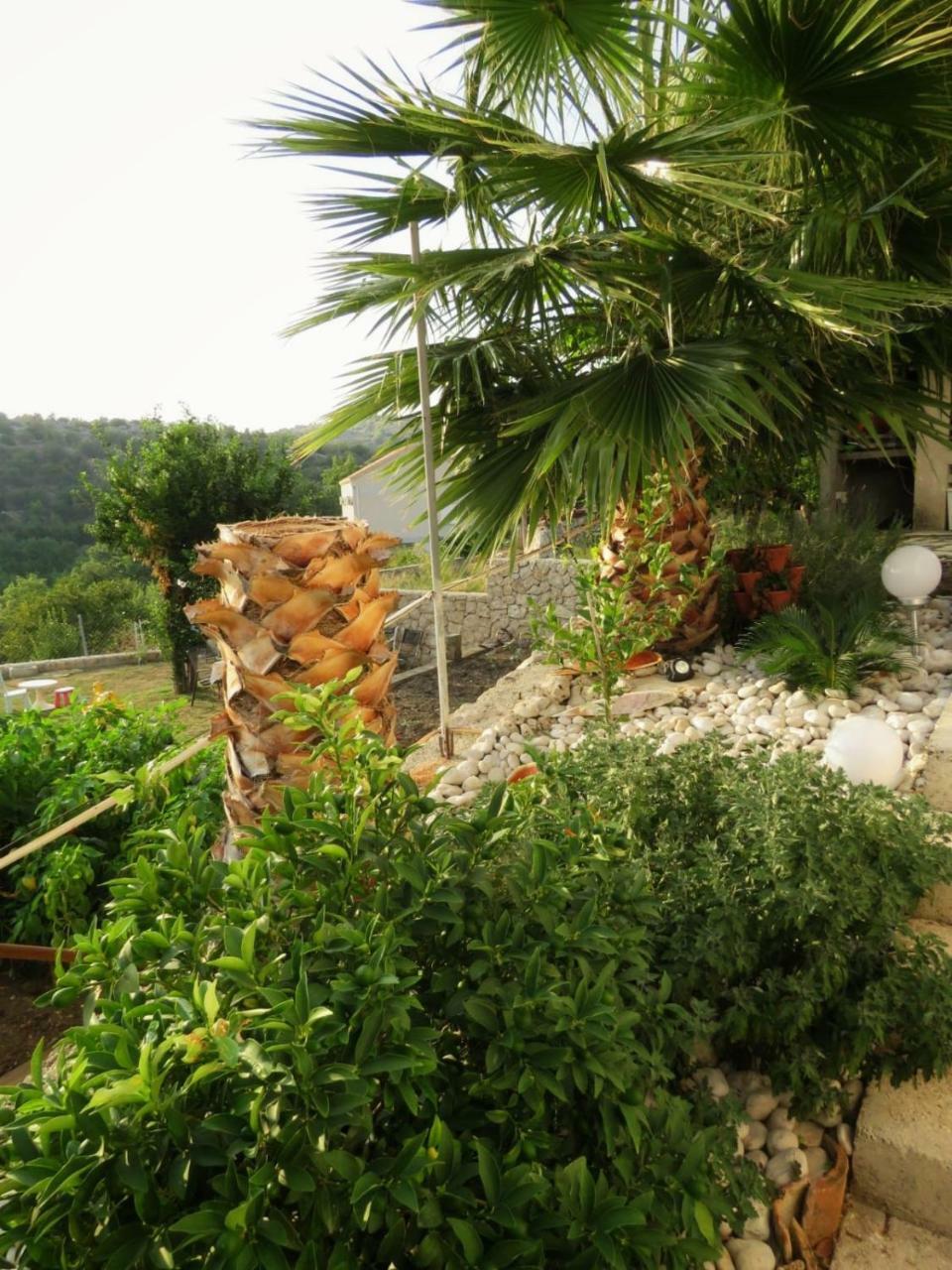 Vila Mozara Slano Ngoại thất bức ảnh